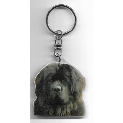 NEWFOUNLAND RESCUE DOG / Key Fobs