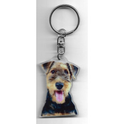 WELSH TERRIER  DOG / Key Fobs