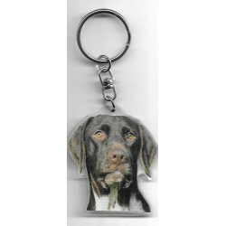 DANISH WIREHAIRED POINTER Dog / Key Fobs