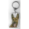 LAEKENOIS BELGIUM SHEPHERD DOG / Key Fobs