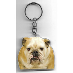 ENGLISH BULLDOG   / Key Fobs