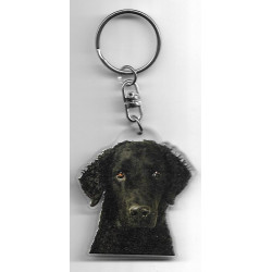 CURLY COATED DOG / Key Fobs