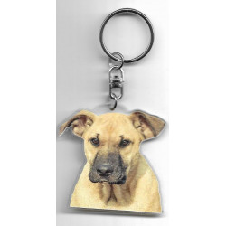 Fila de Sao Miguel DOG / Key Fobs