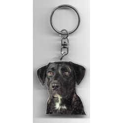 Fila de Sao Miguel DOG / Key Fobs