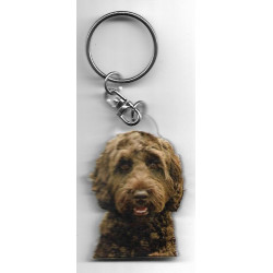 LABRODOODLE porte clés Chien