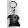 PITBULL porte clés Chien