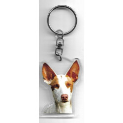 PODENCO porte clés Chien