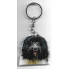 SCHAPENDOES  porte clés Chien