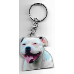 STAFFIE DOG / Key Fobs