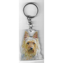 SILKY TERRIER DOG / Key Fobs