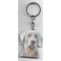 WEIMAR pointer DOG / Key Fobs