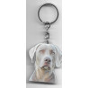 WEIMAR pointer DOG / Key Fobs