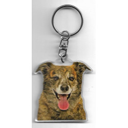 ZINNEKE  DOG / Key Fobs