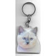 CAT  Key Fobs