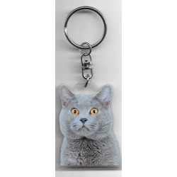 CHARTREUX CHAT porte clés