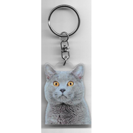 CHARTREUX CAT Key Fobs