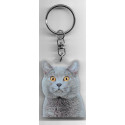 CHARTREUX CHAT porte clés