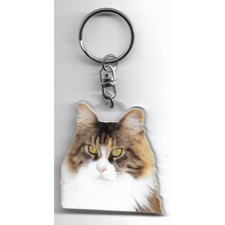 CAT  Key Fobs