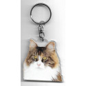 CAT  Key Fobs