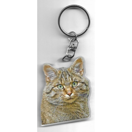 CAT  Key Fobs