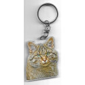 CAT  Key Fobs