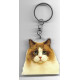 RAGDOLL CAT  Key Fobs