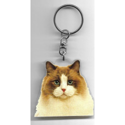 RAGDOLL CAT  Key Fobs