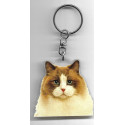 RAGDOLL CAT  Key Fobs