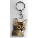 BENGAL  CAT Key Fobs