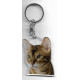 BENGAL  CAT Key Fobs