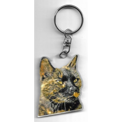 CAT  Key Fobs