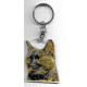 CAT  Key Fobs