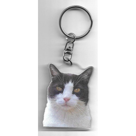 CHAT porte clés