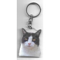 CAT  Key Fobs