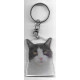 CAT  Key Fobs