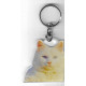 CAT  Key Fobs