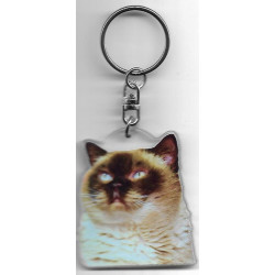 BIRMAN CAT Key Fobs