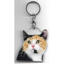 MUNCHKIN CAT Key Fobs