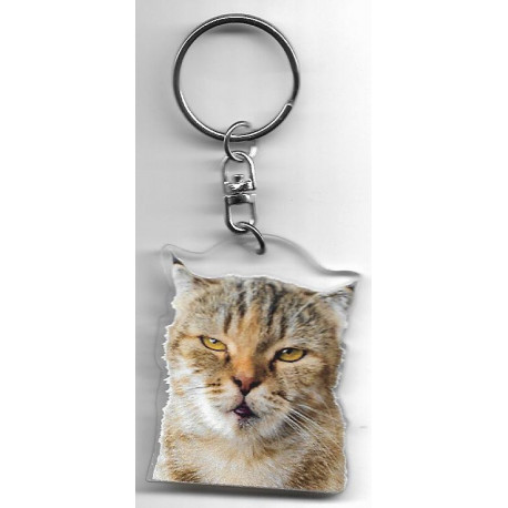 SCOTTISH FOLD CAT Key Fobs