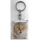 SCOTTISH FOLD CAT Key Fobs