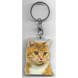 MANX CAT Key Fobs