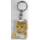 MANX CAT Key Fobs