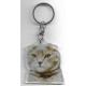 SCOTTISH FOLD CAT Key Fobs