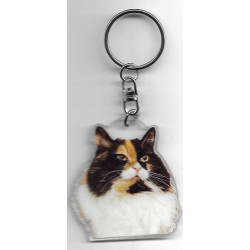 MUNCHKIN CAT Key Fobs