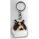 MUNCHKIN CAT Key Fobs