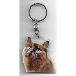 MUNCHKIN CHAT porte clés