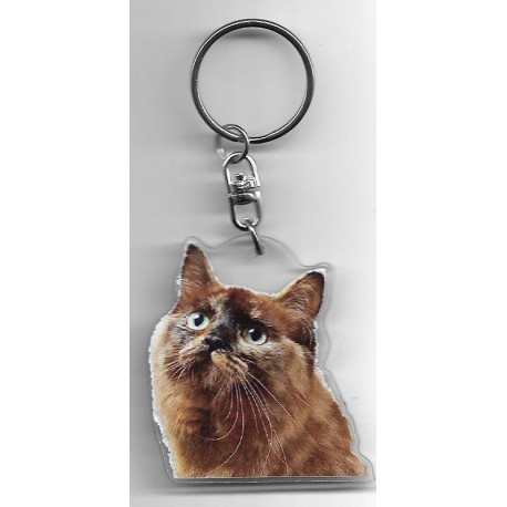 MUNCHKIN CHAT porte clés