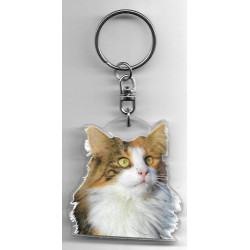 NOREGIEN FOREST CAT Key Fobs