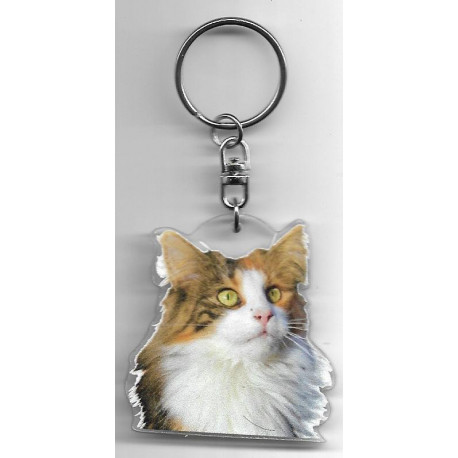 NOREGIEN FOREST CAT Key Fobs