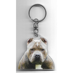 PITBULL DOG / Key Fobs